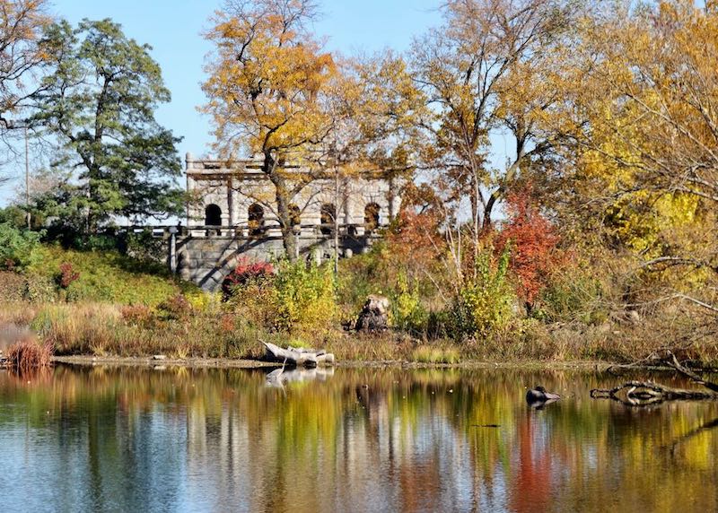 Near the zoo in Lincoln Park, Chicago