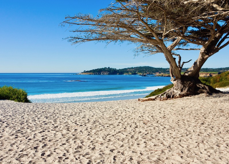 A sandy beach in the Pebble Beach area of Monterey