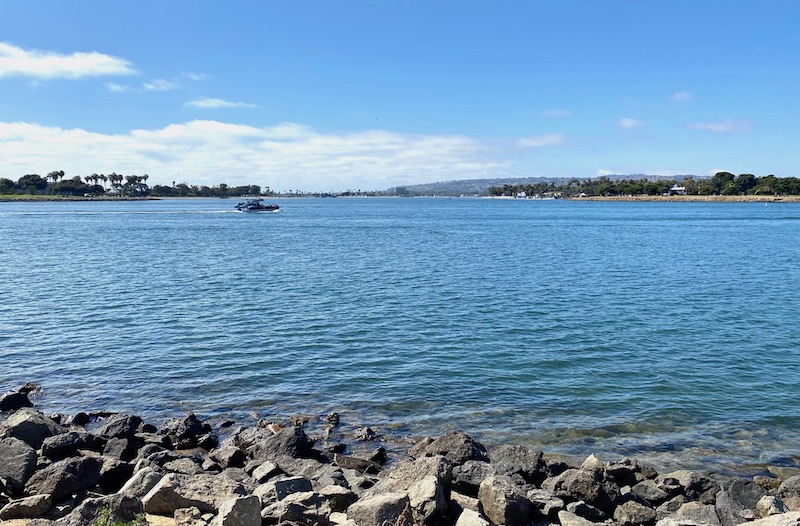 A speedboat in the water off the coast of Harbor Island, San Diego