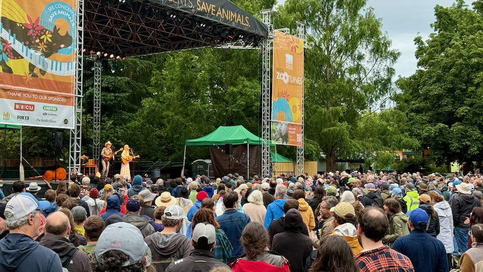 Concert at Seattle Zoo.