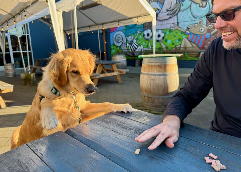 A Seattle brewery in January.